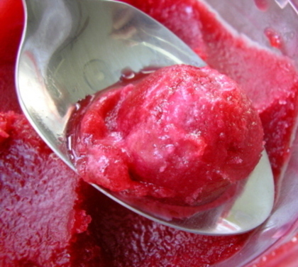 raspberry sherbet