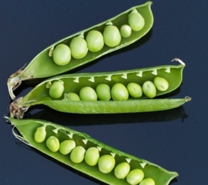 garden peas